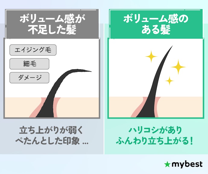 髪の毛のボリューム不足の原因は?
