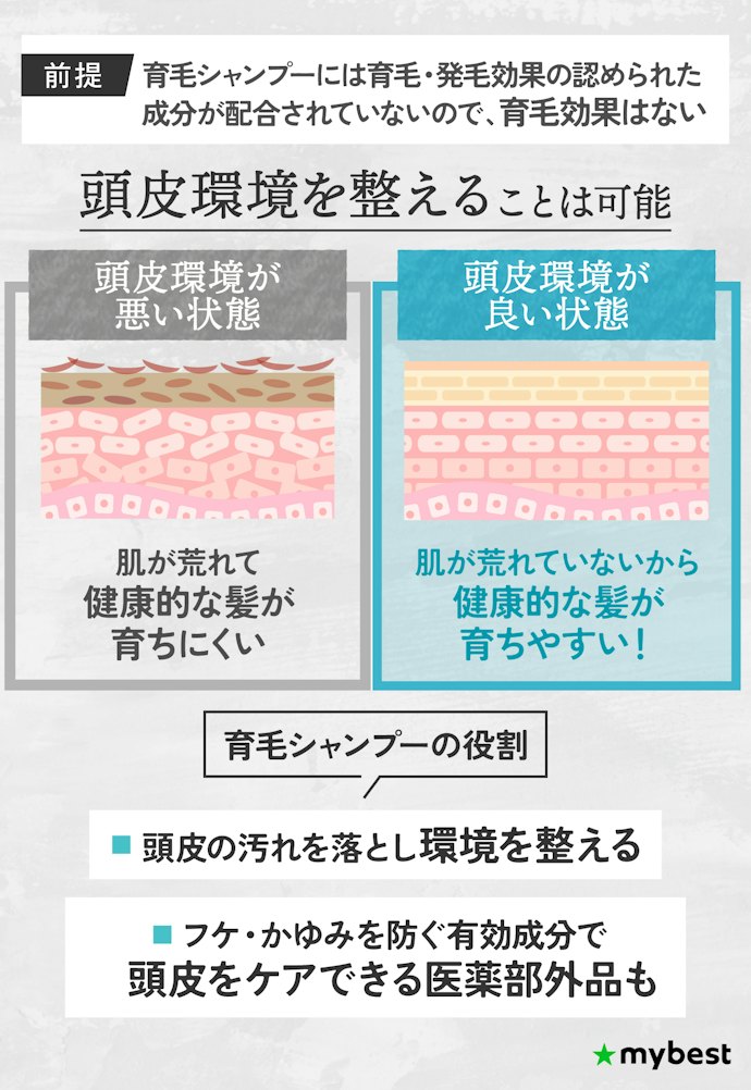 育毛シャンプーで男性の抜け毛や薄毛は防げる?