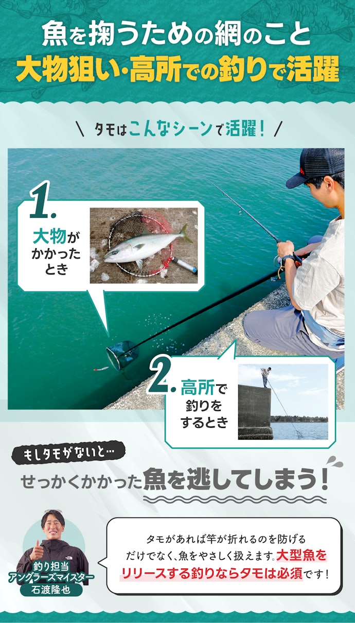 タモとは?どんなシーンで必要?