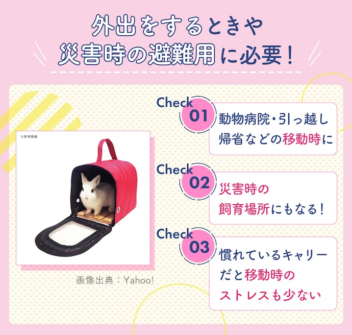 うさぎにキャリーは必要?いつ使う?