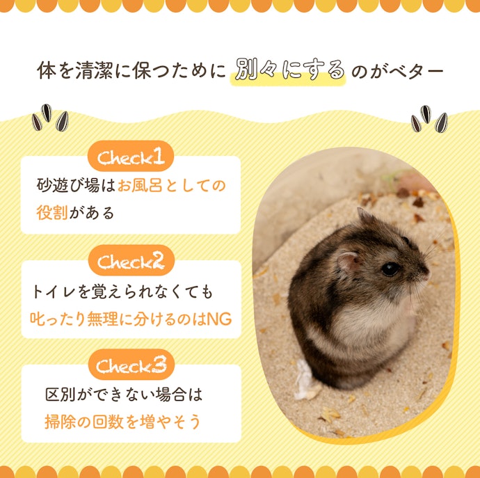 トイレと砂浴び用の砂は区別する?