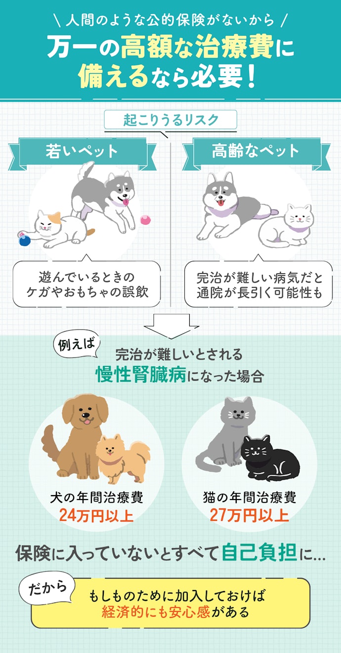 ペット保険はいらない?加入すべき?