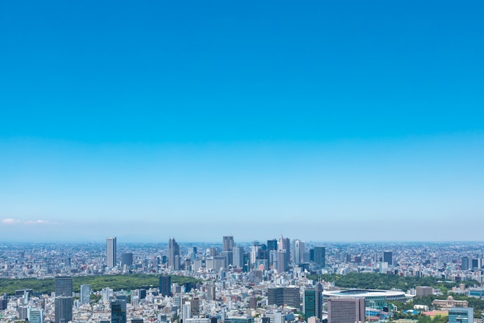 東京の新宿ってどんなところ?見どころは?
