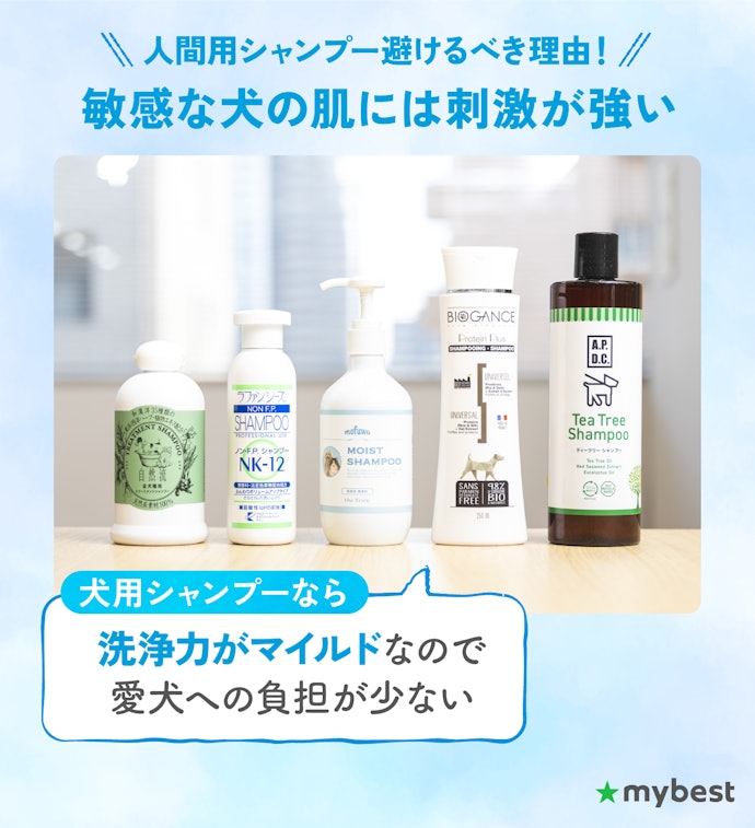 犬用シャンプーは人間用のシャンプーで代用しないで!
