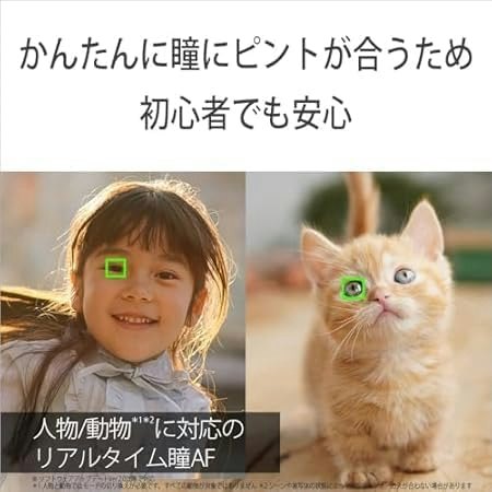 ソニーのデジカメの魅力は?