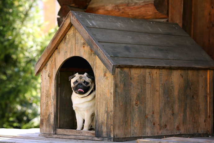 三角屋根のボブハウス プラスチック製 犬小屋 屋外