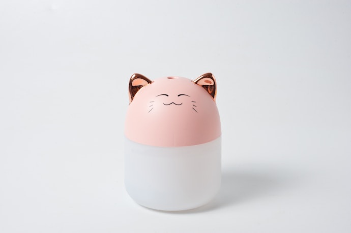 ネコ型加湿器を選ぶポイントは?かわいい反面デメリットはある?
