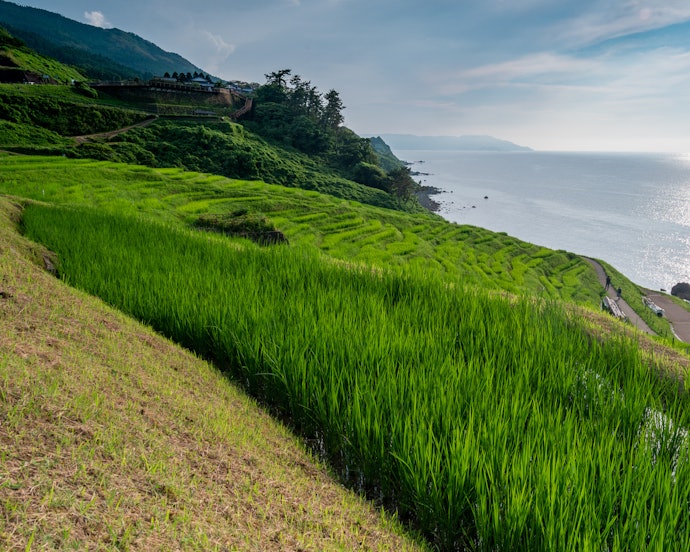 能登半島ってどんなところ?見どころは?