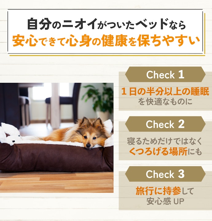 犬にベッドは必要?