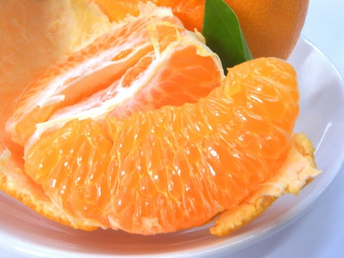 はるみとは?どんな特徴のみかん?