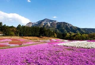 秩父温泉ってどんなところ?