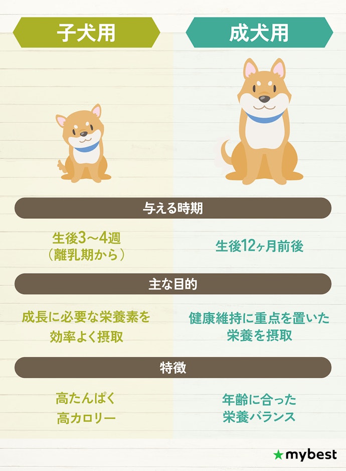 子犬用フードと成犬用フードの違いは?いつからいつまであげるべき?