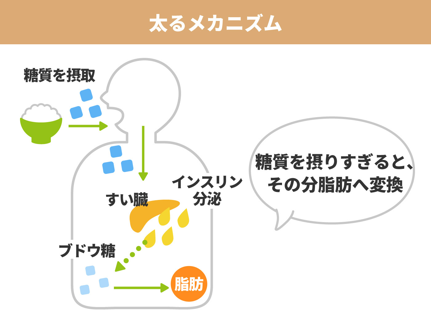21年 糖質カットサプリのおすすめ人気ランキング10選 Mybest