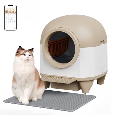 大型の猫トイレは必要?どんな猫に向いているの?