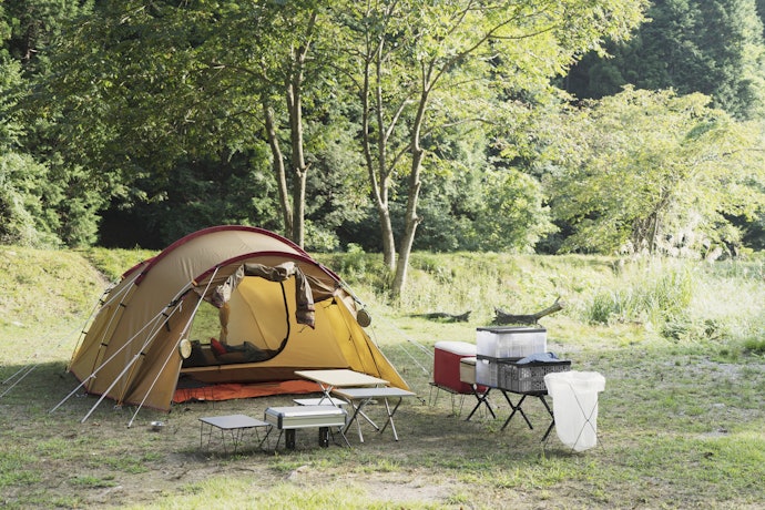 ポイズンリムーバーとは?効果はある?