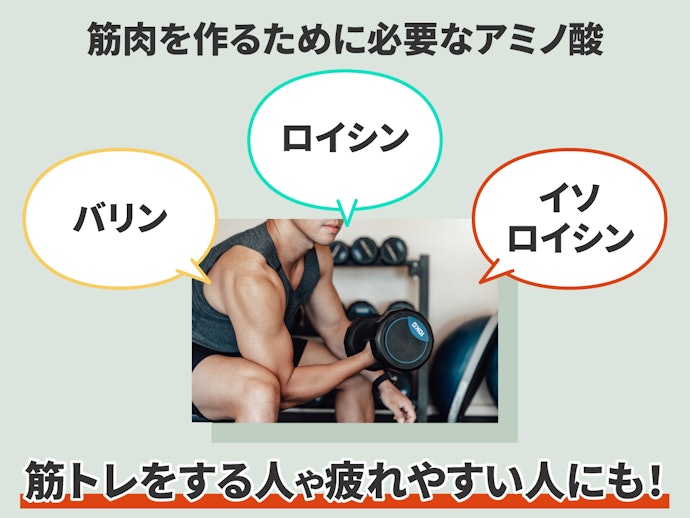 運動や筋トレをサポート!BCAAの効果とは?EAAとの違いも紹介
