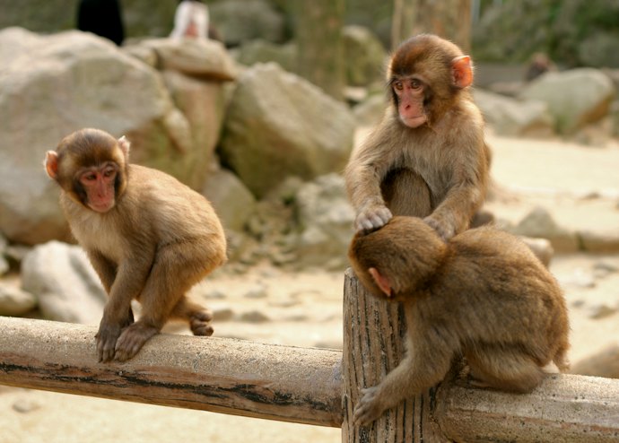 おんせん県大分の観光拠点、大分市の魅力とは?