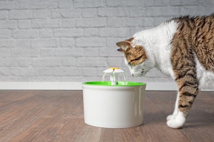 コードレスの猫用自動給水機のメリットは?
