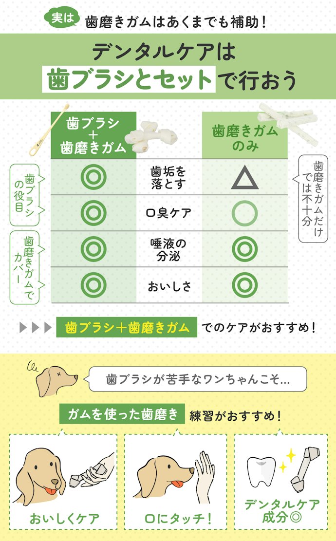 犬のデンタルケアは歯磨きガムだけで大丈夫?