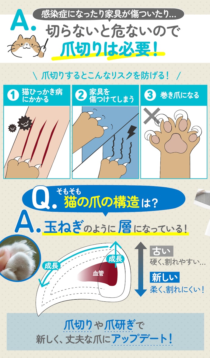 猫の爪切りって必要?頻度は?切らないとどんなリスクがあるの?
