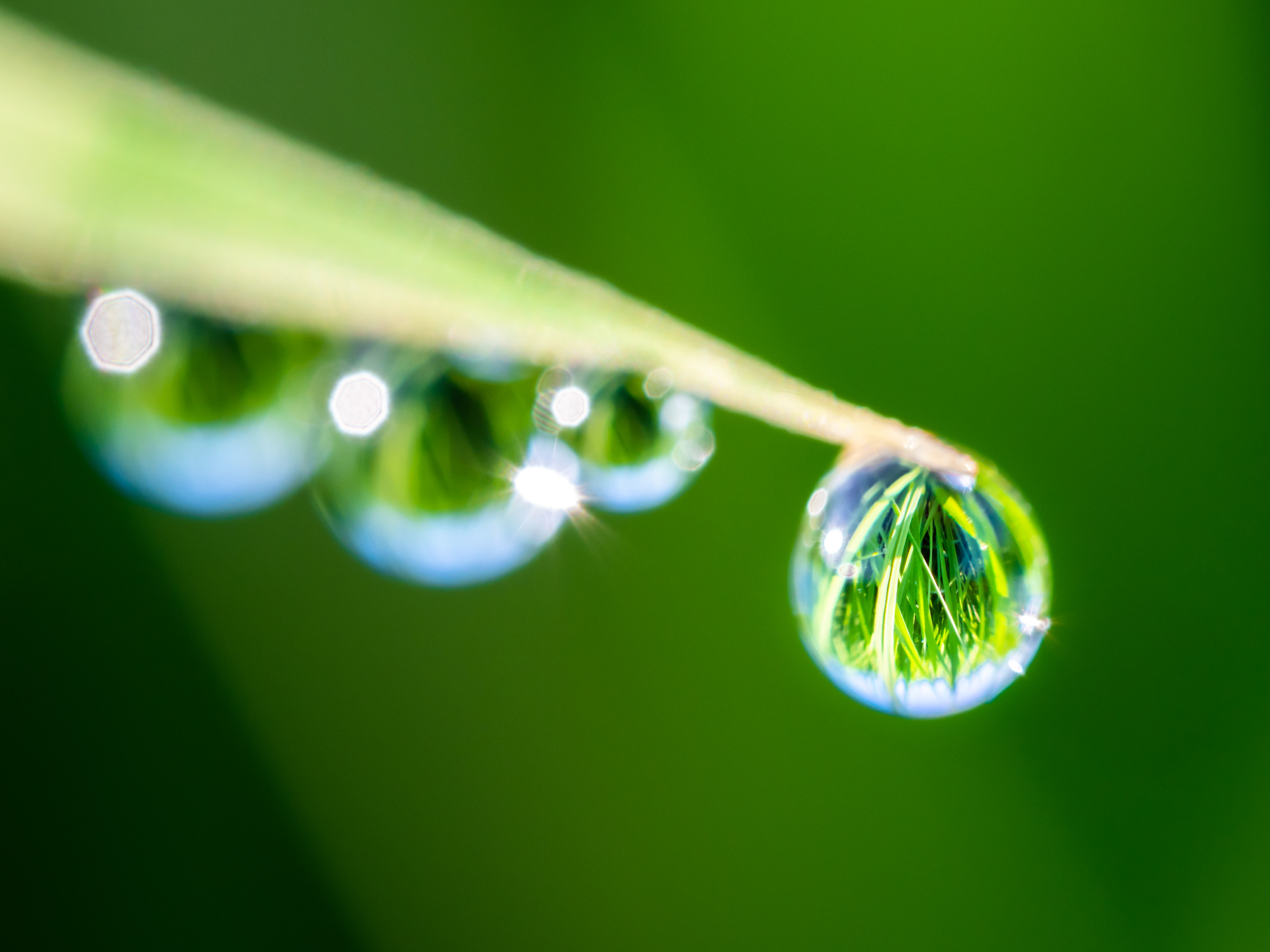 22年 ニコンのマクロレンズのおすすめ人気ランキング13選 Mybest