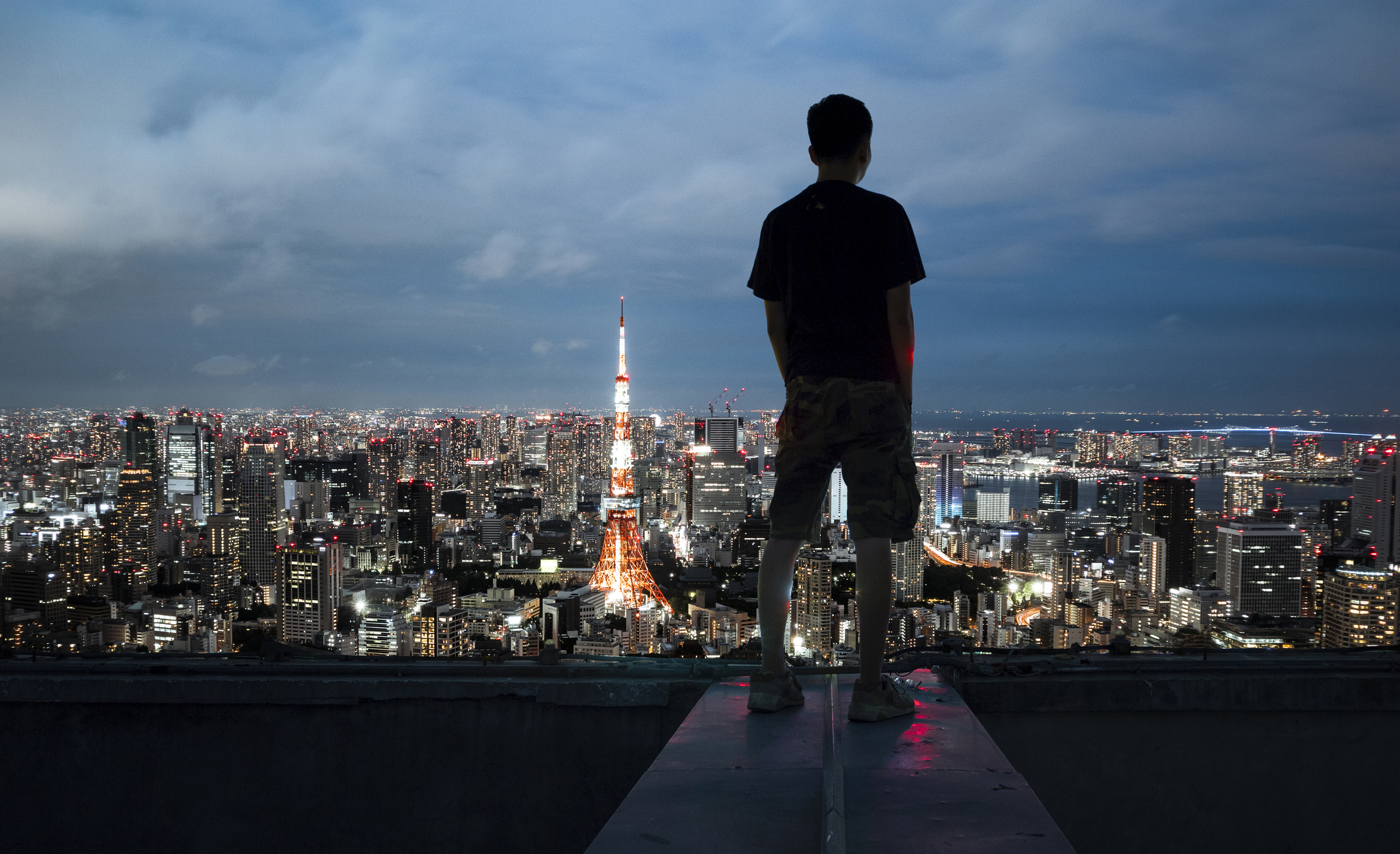 22年 東京都内の夜景スポットのおすすめ人気ランキング40選 Mybest