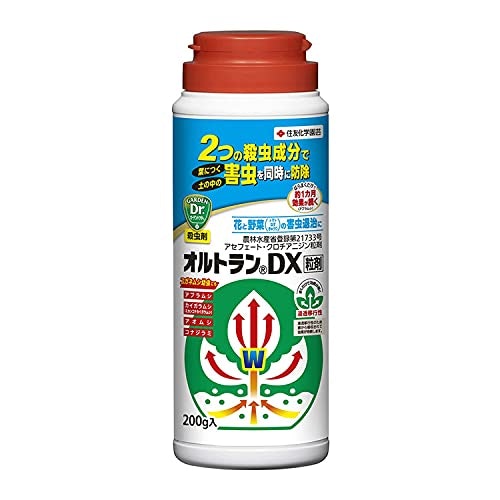 成虫にも有効?カイガラムシ殺虫剤が必要な理由とは?