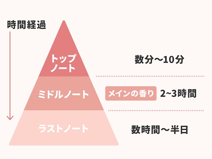 香りの変化を楽しもう。よく聞くトップノート・ミドルノートとは?