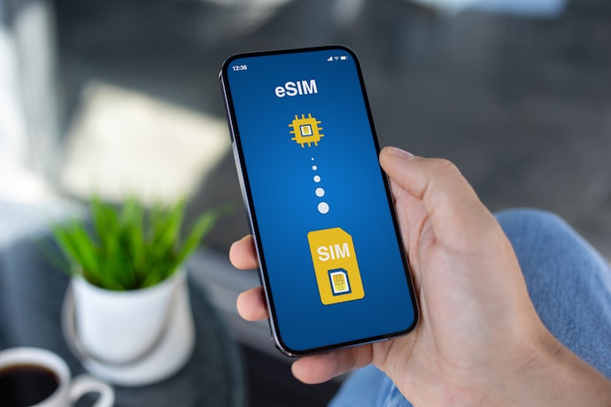 フランスでスマホを使うなら、SIMカードとeSIMどっちがいい?