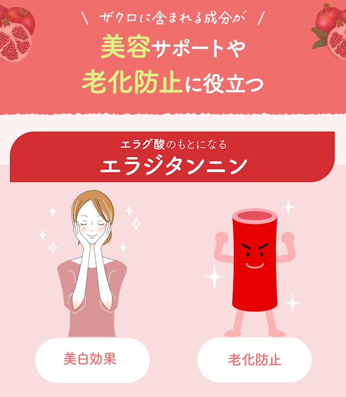 ザクロにはどんな効果があるの?女性によいって本当?