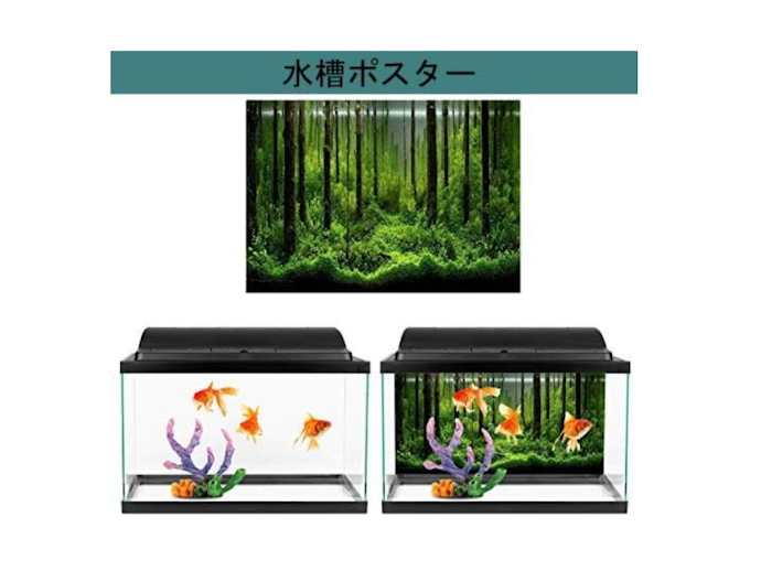 水槽バックスクリーンの効果とは?