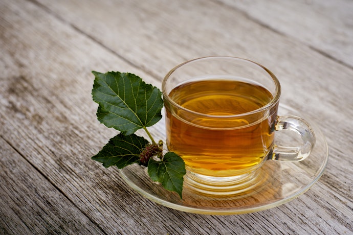 ノンカフェインで飲みやすい!桑茶の魅力とは?