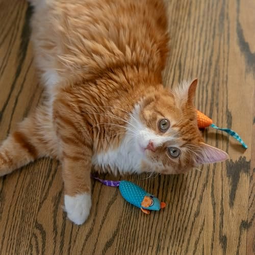 猫に噛むおもちゃは必要?どんな効果が期待できる?