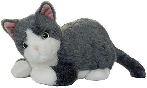 ペット不可物件に住む人や高齢者に!猫のペットロボットの魅力とは?