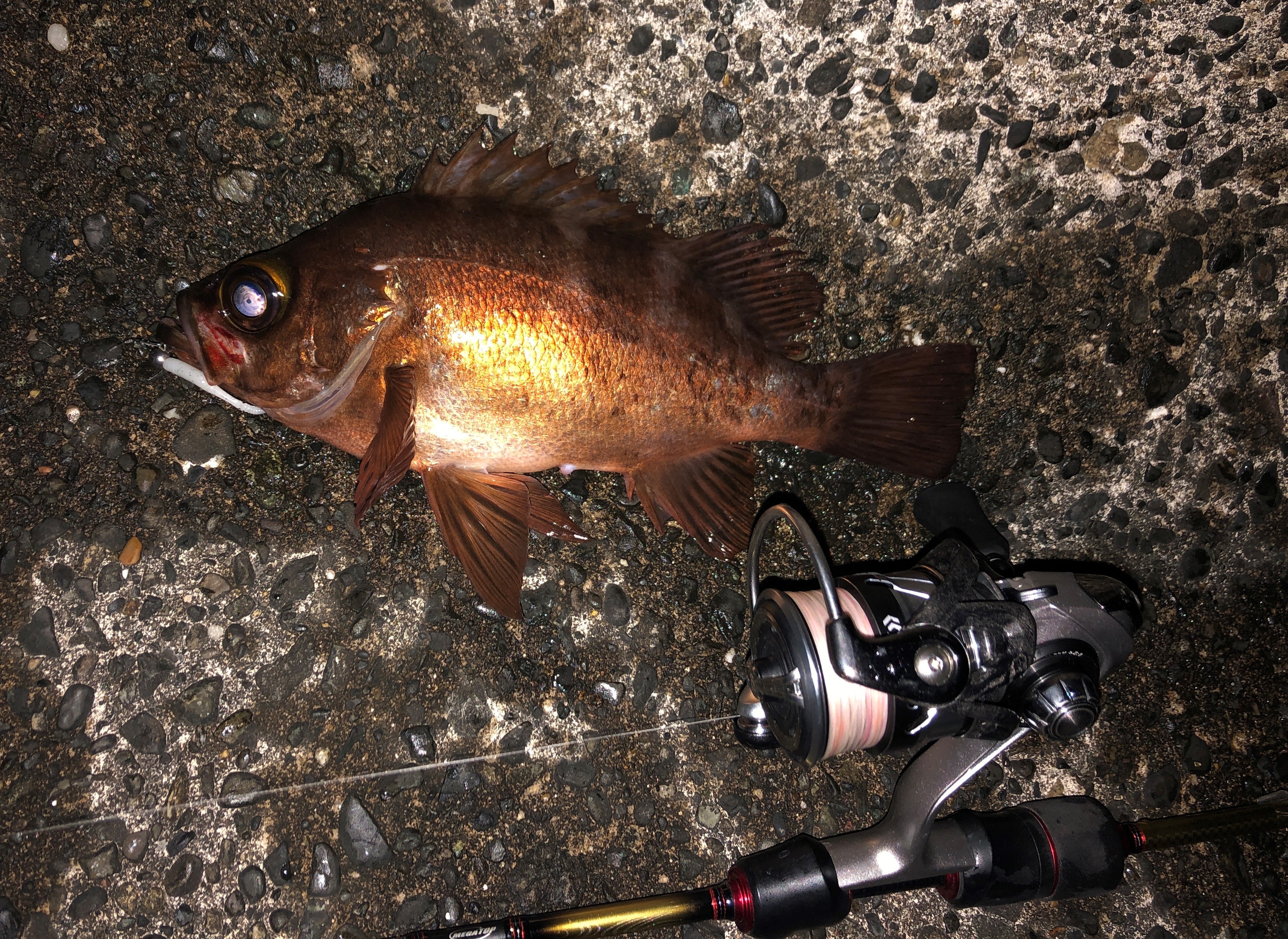 22年 メバリングロッドのおすすめ人気ランキング38選 Mybest