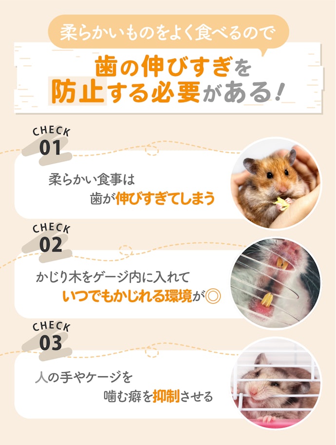 げっ歯類などの小動物にかじり木は必要?