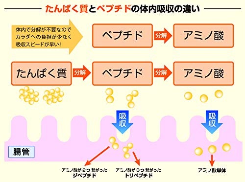 ホエイペプチドとは?