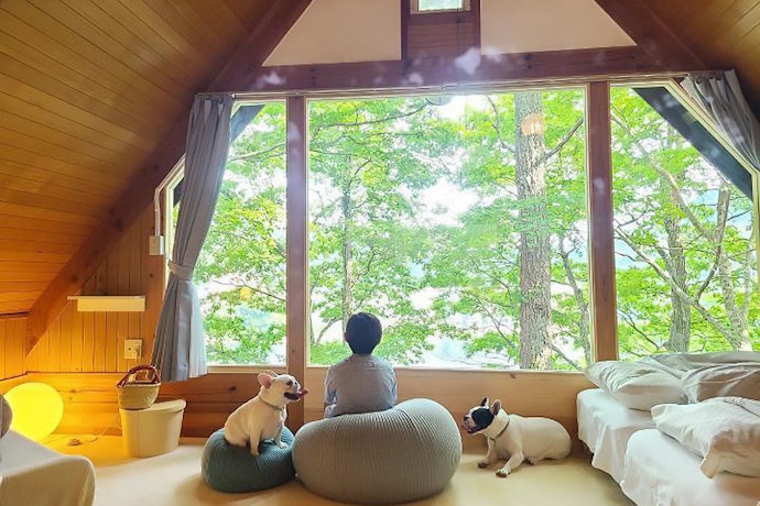 広島のペットと泊まれる宿の魅力とは?