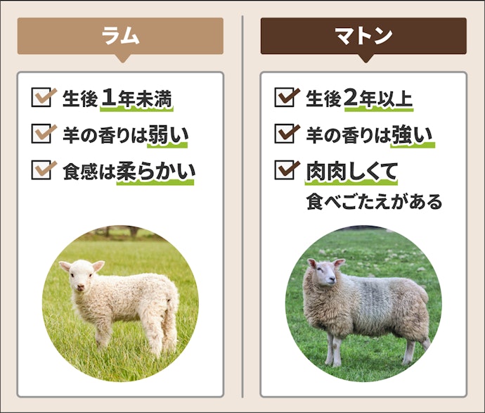 ラムとマトンの違いは?