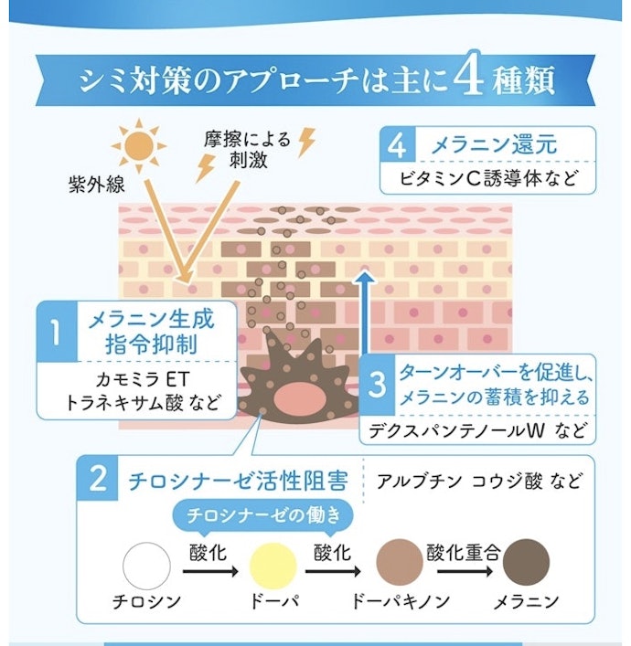 シミを予防したい人は、異なるアプローチの美白有効成分を取り入れよう