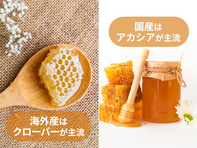 クローバーは爽やかな甘さ、アカシアは優しい味わい。花の種類もチェック