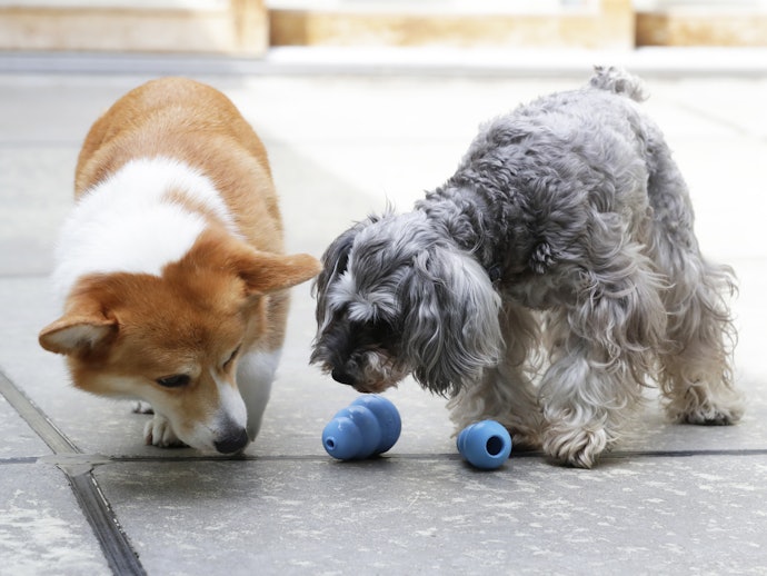 徹底比較 犬用おもちゃのおすすめ人気ランキング15選 ボール ぬいぐるみ 知育玩具も Mybest