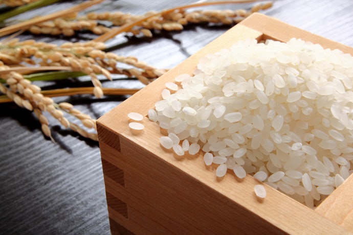 京都限定の酒米、「祝」「京の輝き」を使用したものもある!