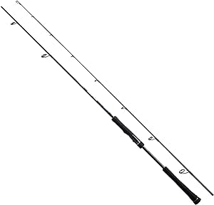 オフショアジギングロッド　ベイト 2本セット 【スピニング、ベイト】 オフショア ジギングロッド