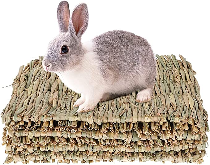 22年 うさぎ用おもちゃのおすすめ人気ランキング39選 Mybest
