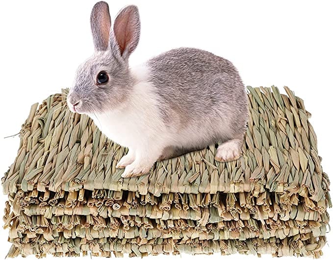 22年 うさぎ用おもちゃのおすすめ人気ランキング39選 Mybest 22年 うさぎ用おもちゃのおすすめ人気ランキング39選 Mybest