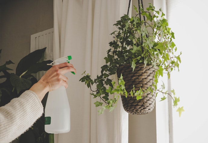 植物を傷つけずに葉水するなら細かいミストがおすすめ