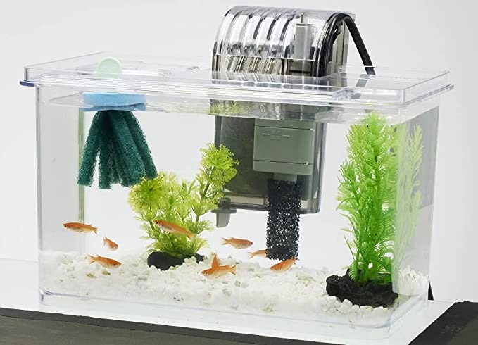 フタ付きの水槽セットを選んでエビの脱走を防ごう
