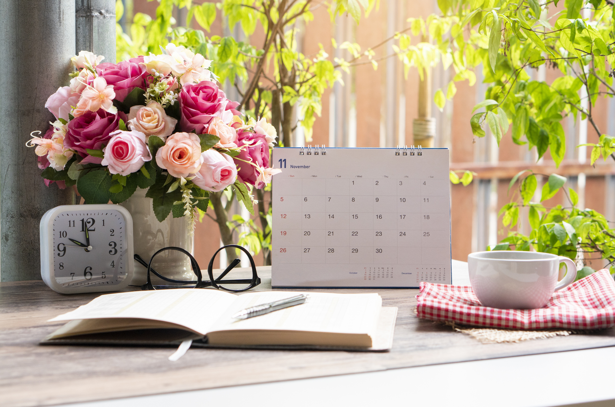 22年 花のサブスクのおすすめ人気ランキング10選 Mybest