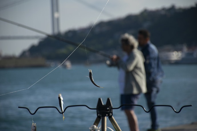 2023年】海釣り竿のおすすめ人気ランキング300選 | mybest